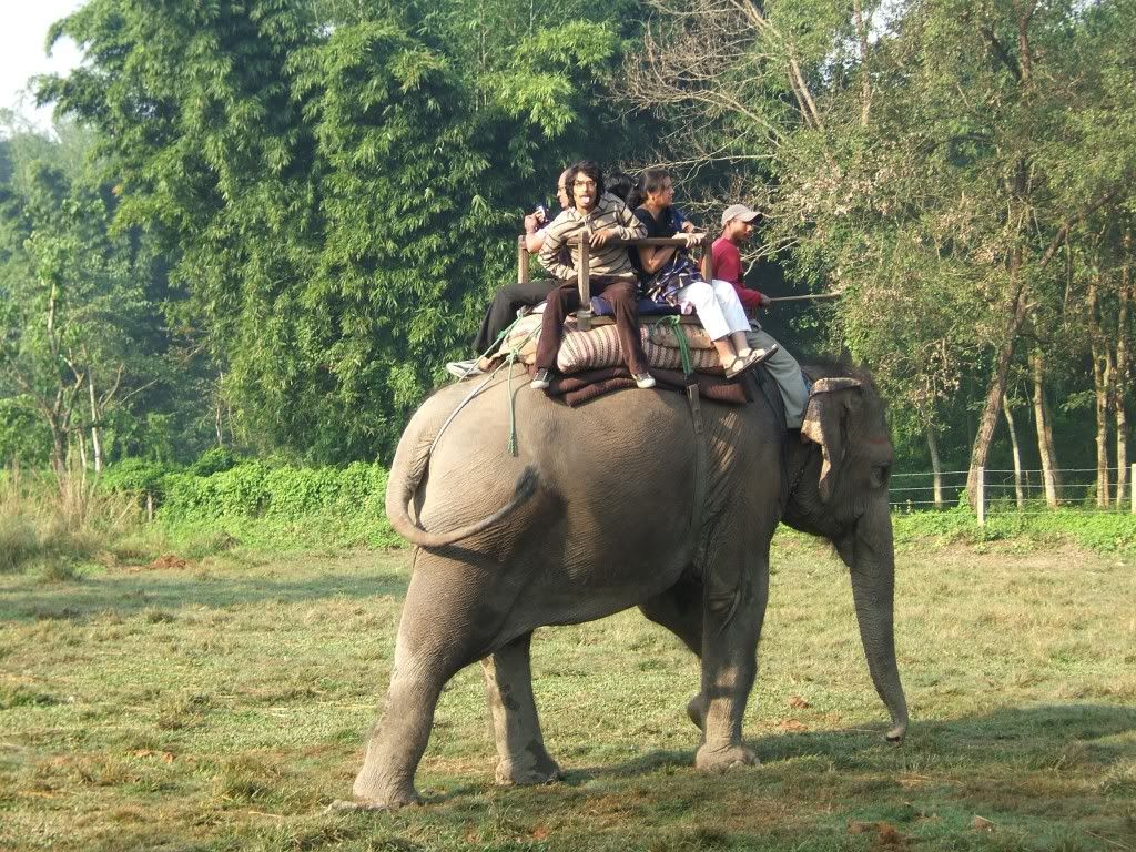 Elephant Ride In Chitwan National Park Nepal Photo by sylviaroba Photobucket